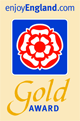 gold accolade logo