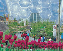 The Eden Project