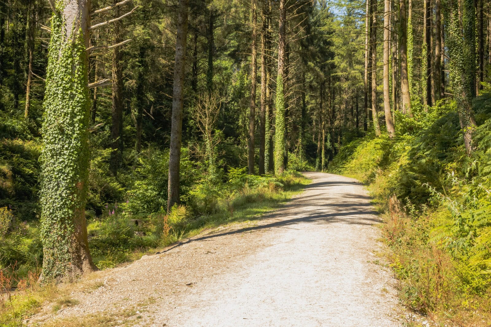 Family Friendly Walks in Cornwall - Breaks in Cornwall