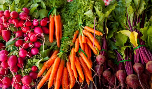 Table of red and pink radishes, orange carrots and deep magenta beets