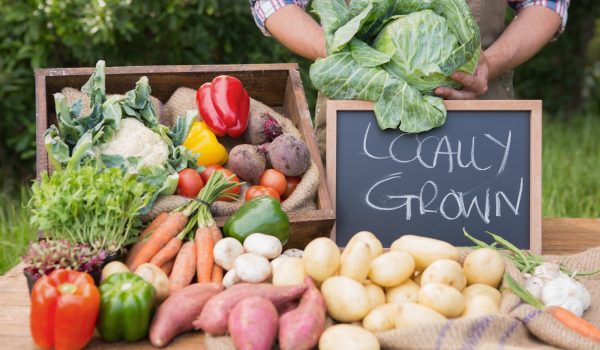 Farmer selling locally grown organic veg at market