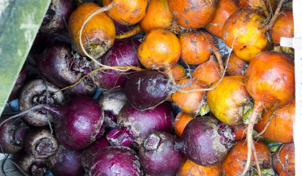 winter vegetables at truro market