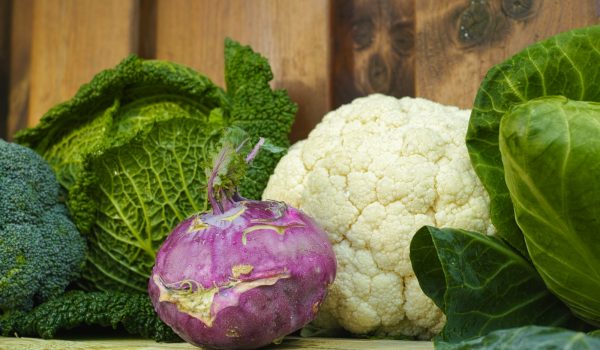 savoy cabbage, sweetheart cabbage, purple kohlrabi, cauliflower on wooden background