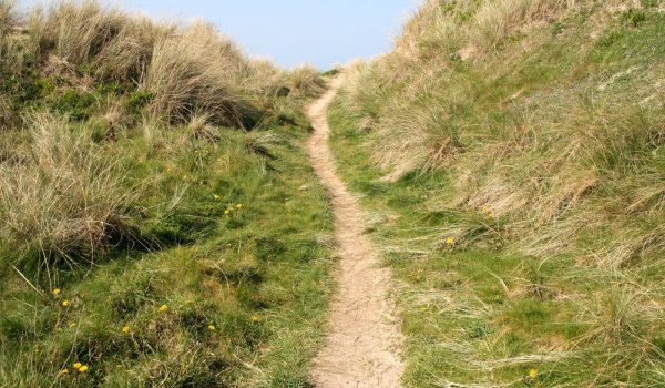 a path to the beach in perranporth, cornwall